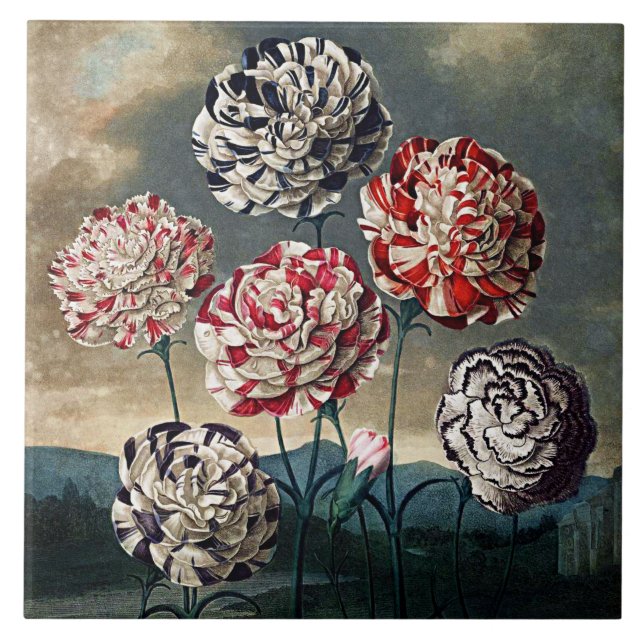 Azulejo De Cerâmica Bloomias Botânicas Carnações Cerâmicas (Frente)