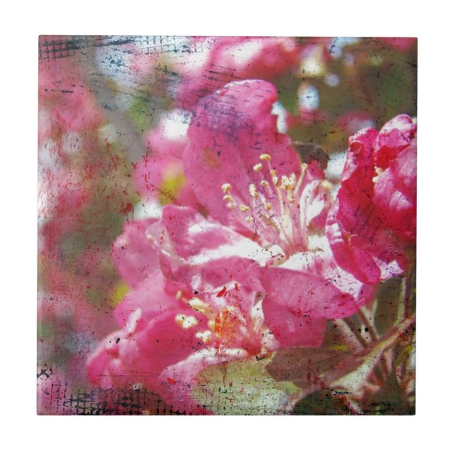 Azulejo De Cerâmica Blossomas de maçã (Frente)