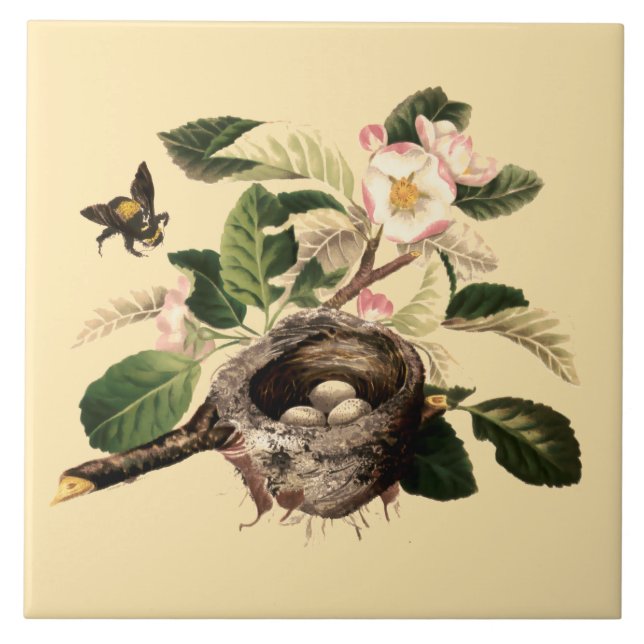 Azulejo De Cerâmica Blossomas de Maçã e Ninho de Pássaro (Frente)