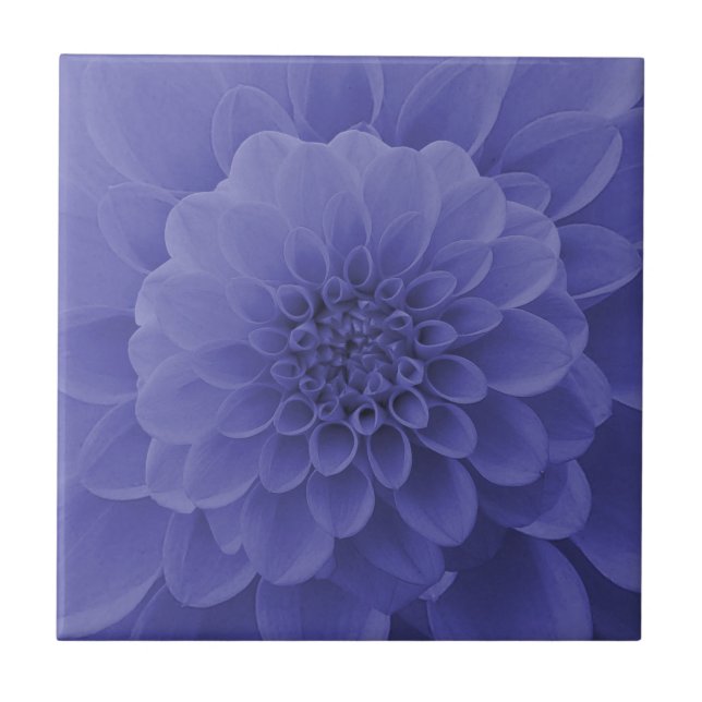 Azulejo De Cerâmica Blue Dahlia (Frente)