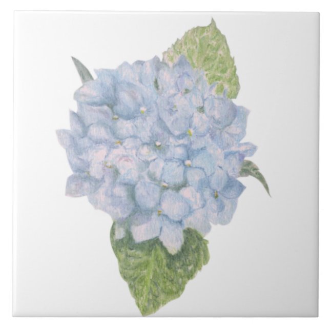 Azulejo De Cerâmica Blue Hydrangea (Frente)