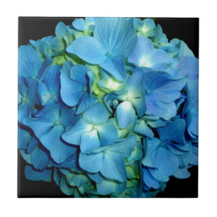 Azulejo De Cerâmica Blue Hydrangea