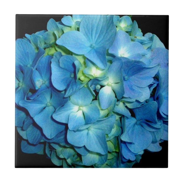 Azulejo De Cerâmica Blue Hydrangea (Frente)