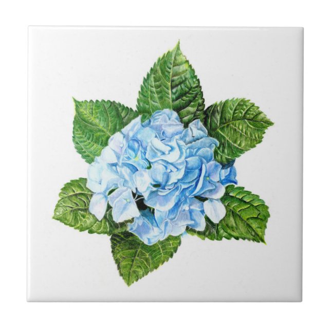 Azulejo De Cerâmica Blue Hydrangea (Frente)