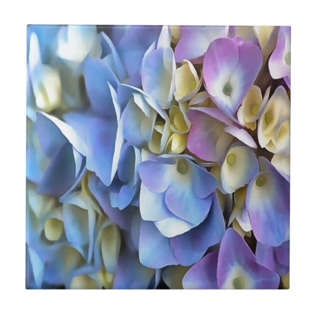 Azulejo De Cerâmica Blue Hydrangea Shrub Artístico Bossom (Frente)