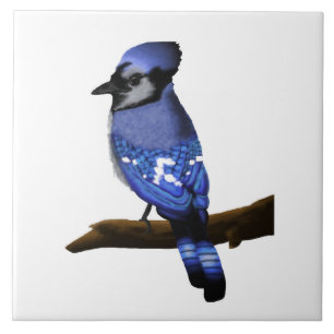 Azulejo De Cerâmica Blue Jay Art