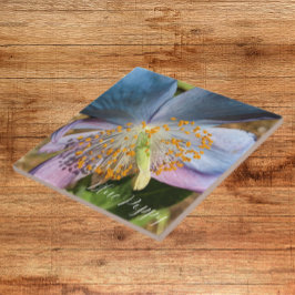 Azulejo De Cerâmica Blue Poppy Bloom Floral