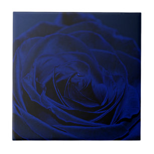 Azulejo De Cerâmica Blue Velvet rosa.jpg