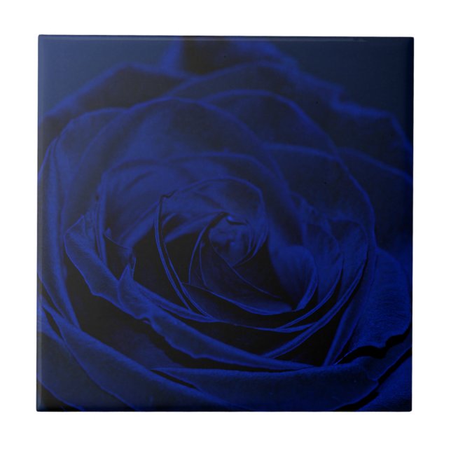 Azulejo De Cerâmica Blue Velvet rosa.jpg (Frente)