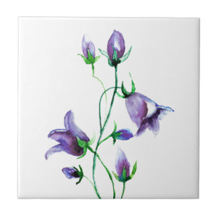 Azulejo De Cerâmica bluebells violeta de cor aquosa em branco