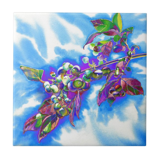 Azulejo De Cerâmica Blueberry Solar (Frente)