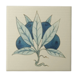 Azulejo De Cerâmica Blueberry William De Morgan