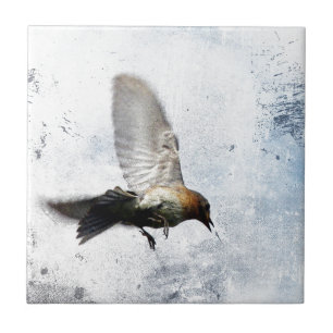 Azulejo De Cerâmica Bluebird Grunge