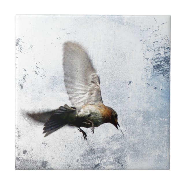 Azulejo De Cerâmica Bluebird Grunge (Frente)