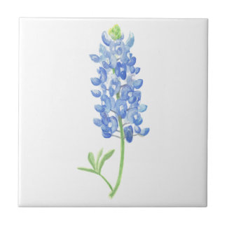 Azulejo De Cerâmica Bluebonnet