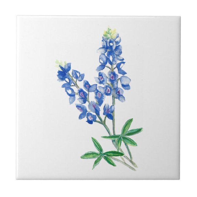Azulejo De Cerâmica Bluebonnet 3 (Frente)