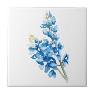 Azulejo De Cerâmica Bluebonnet 4