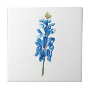 Azulejo De Cerâmica Bluebonnet 5