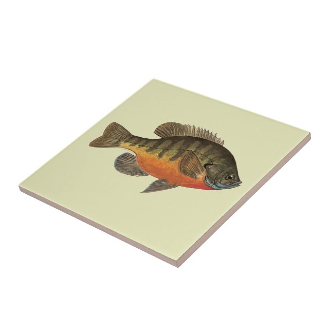 Azulejo De Cerâmica Bluegill Bream (Lateral)