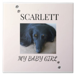 Azulejo De Cerâmica Blush Minimal Pet 1 Photo with Paw Prints