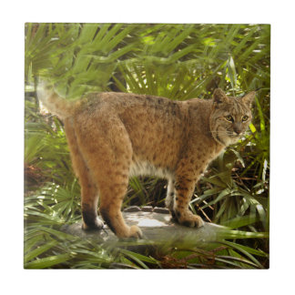 Azulejo De Cerâmica BobcatBCR004