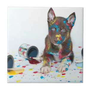 Azulejo De Cerâmica Bobo Rouco Puppy entrou em Baldes Paint