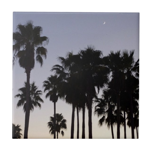 Azulejo De Cerâmica Boca com Cena Tropical de Palmeiras (Frente)