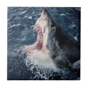 Azulejo De Cerâmica Boca de tubarão elevada aberta