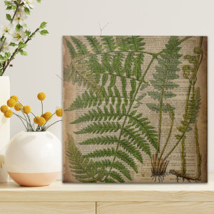 Azulejo De Cerâmica boi-impressão francês foliage
