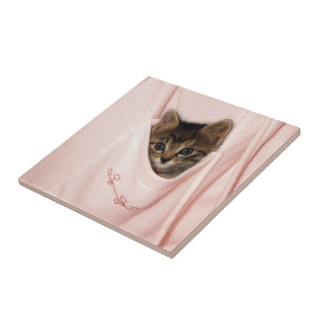 Azulejo De Cerâmica Boleia (Lateral)