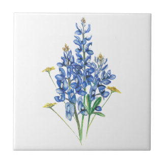 Azulejo De Cerâmica Boletins e flores silvestres