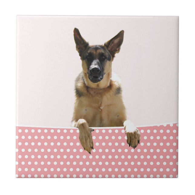 Azulejo De Cerâmica Bolinhas Rosa german shepherd (Frente)