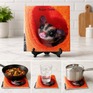 Azulejo De Cerâmica Bolsa de dormir laranja fofo para sugar glider, de