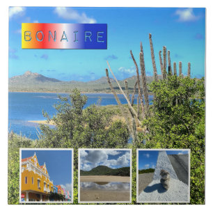 Azulejo De Cerâmica Bonaire Photo Collage
