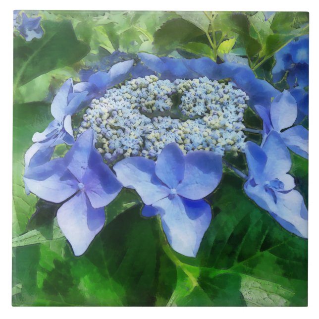 Azulejo De Cerâmica Boné Azul Hydrangea Vamos Dance Starlight (Frente)