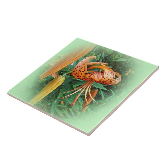 Azulejo De Cerâmica Boné de Turk Lily Wildflower (Lateral)