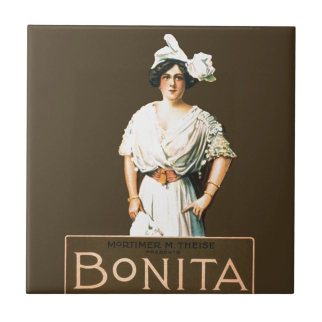 Azulejo De Cerâmica bonita (Frente)