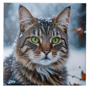 Azulejo De Cerâmica Bonita Cinza de gato na neve