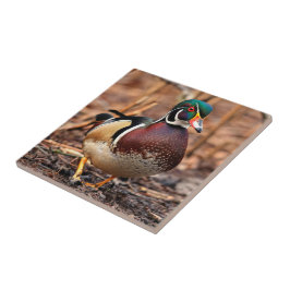Azulejo De Cerâmica Bonito Pato de Madeira Masculina na Floresta