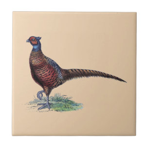 Azulejo De Cerâmica Bonito Peixe de Nuca