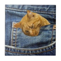 Bonito presente para guardiões de gatos