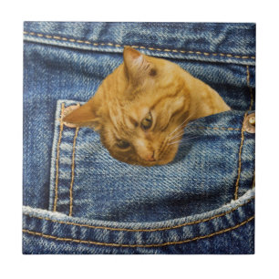 Azulejo De Cerâmica Bonito presente para guardiões de gatos