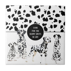 Azulejo De Cerâmica Bonitos Dalmatianos Pontos Pretos e Brancos Felize