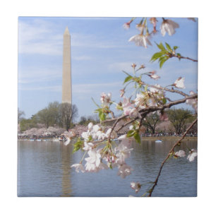Azulejo De Cerâmica Bonitos presentes do Monumento de Washington