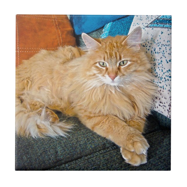 Azulejo De Cerâmica Boppy (Frente)