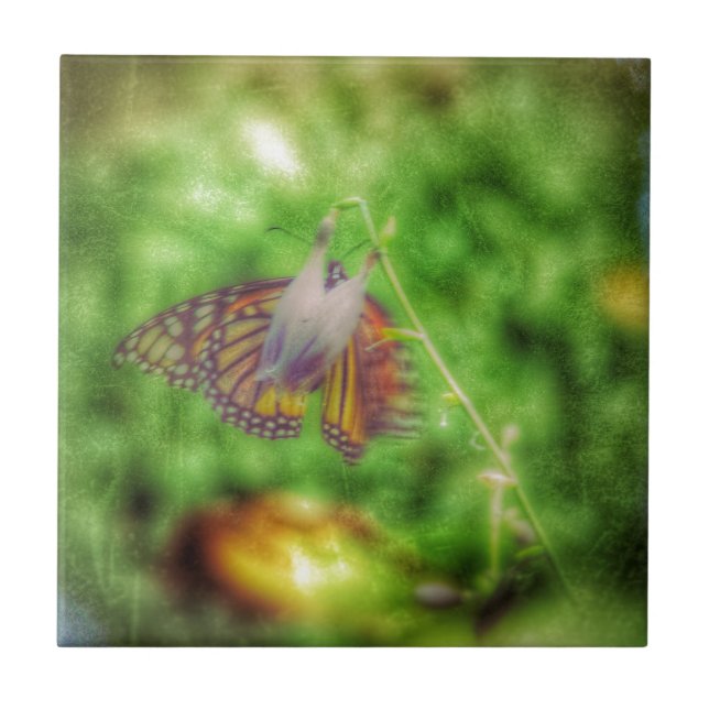 Azulejo De Cerâmica Borboleta (Frente)