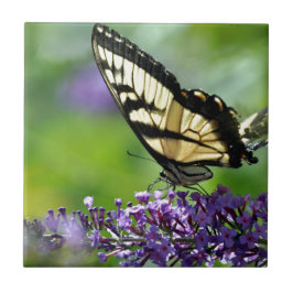 Azulejo De Cerâmica Borboleta Amarela e Preta sobre Lavanda