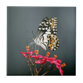 Azulejo De Cerâmica Borboleta Amarela Preta e Branca em Flores Rosas