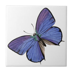 Azulejo De Cerâmica Borboleta azul