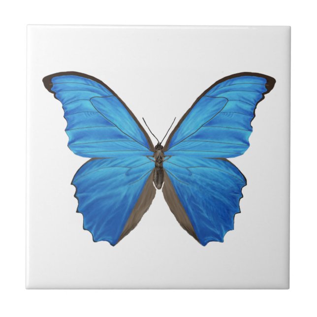 Azulejo De Cerâmica Borboleta azul de Morpho (Frente)